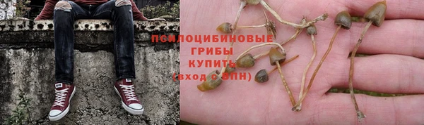 мдпв Семилуки