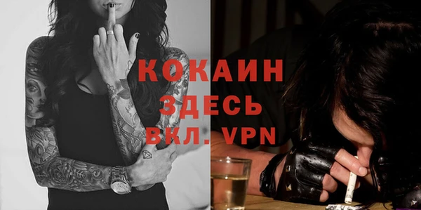бошки Коряжма