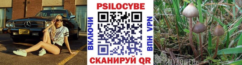Псилоцибиновые грибы мухоморы Купить закладки Белогорск